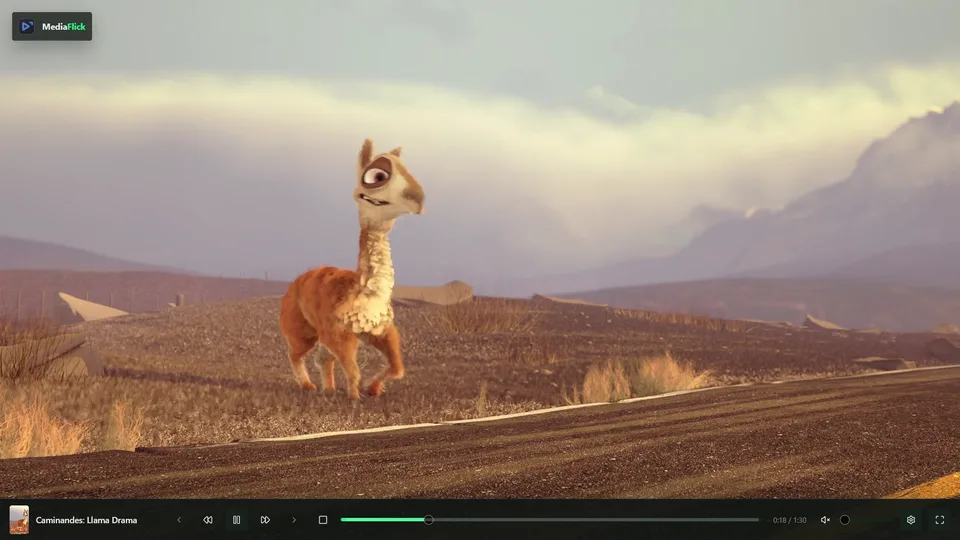 The built-in player's controls: previous, rewind, pause, forward, next, stop, seek bar, time, volume, settings and fullscreen